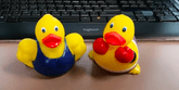 rubber duckies