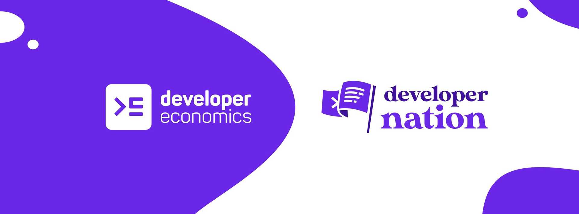 developer nation community, developer nation survey